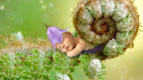 Opportunities for Children with Developmental Delays