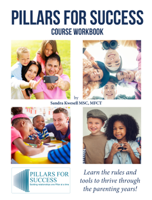 Pillars for Success Course Workbook