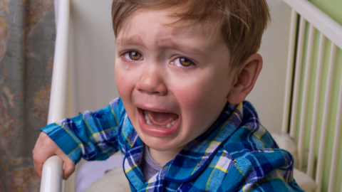 How to Deal with Temper Tantrums – MyBaba