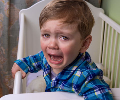 How to Deal with Temper Tantrums – MyBaba